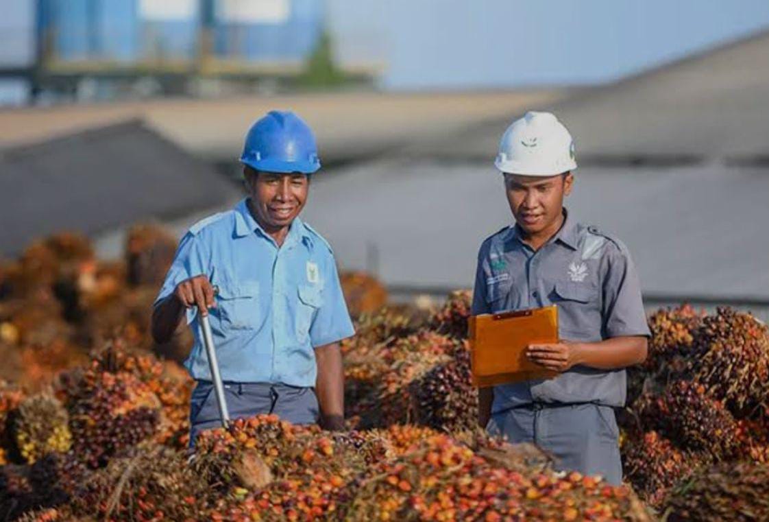 PT perkebunan kelapa sawit